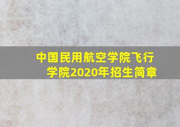 中国民用航空学院飞行学院2020年招生简章