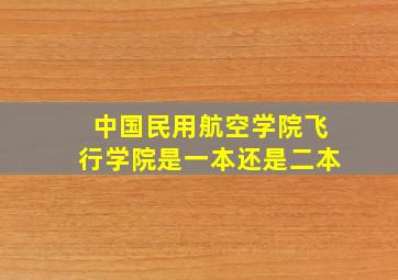 中国民用航空学院飞行学院是一本还是二本