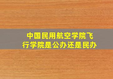 中国民用航空学院飞行学院是公办还是民办