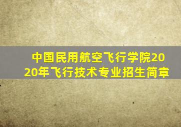 中国民用航空飞行学院2020年飞行技术专业招生简章