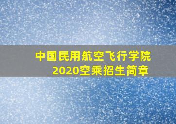 中国民用航空飞行学院2020空乘招生简章