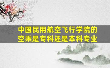 中国民用航空飞行学院的空乘是专科还是本科专业