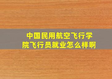 中国民用航空飞行学院飞行员就业怎么样啊