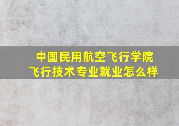 中国民用航空飞行学院飞行技术专业就业怎么样