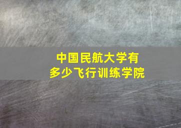 中国民航大学有多少飞行训练学院