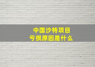 中国沙特项目亏损原因是什么