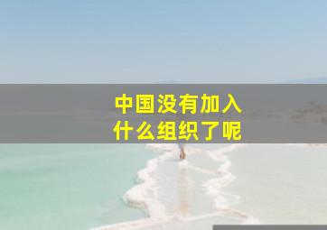 中国没有加入什么组织了呢