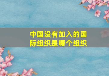 中国没有加入的国际组织是哪个组织