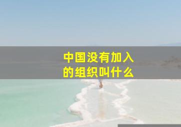 中国没有加入的组织叫什么