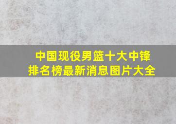 中国现役男篮十大中锋排名榜最新消息图片大全