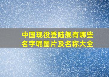 中国现役登陆舰有哪些名字呢图片及名称大全