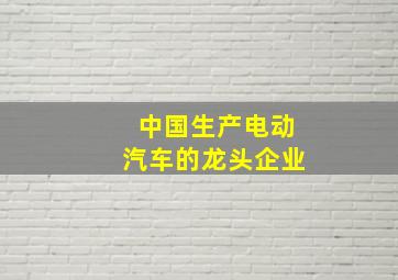 中国生产电动汽车的龙头企业