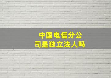 中国电信分公司是独立法人吗