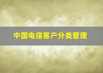 中国电信客户分类管理