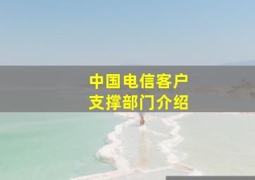 中国电信客户支撑部门介绍