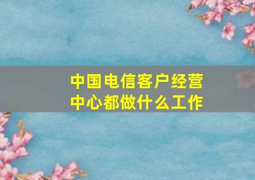 中国电信客户经营中心都做什么工作