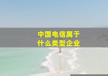 中国电信属于什么类型企业