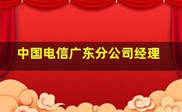 中国电信广东分公司经理