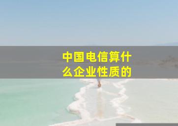 中国电信算什么企业性质的