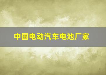 中国电动汽车电池厂家