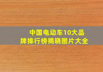 中国电动车10大品牌排行榜揭晓图片大全