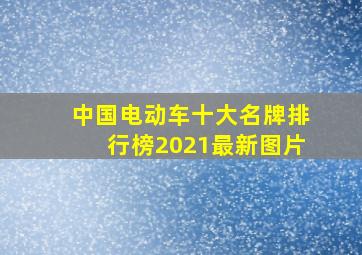 中国电动车十大名牌排行榜2021最新图片