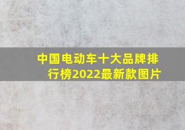 中国电动车十大品牌排行榜2022最新款图片