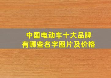 中国电动车十大品牌有哪些名字图片及价格