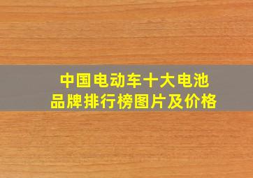 中国电动车十大电池品牌排行榜图片及价格