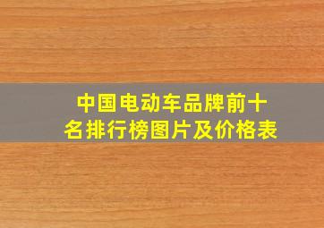 中国电动车品牌前十名排行榜图片及价格表