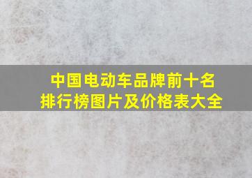 中国电动车品牌前十名排行榜图片及价格表大全