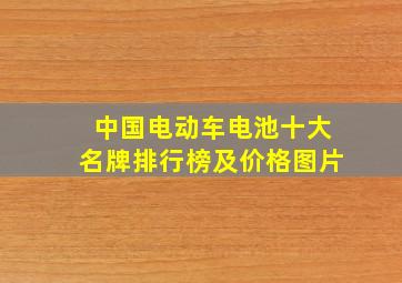 中国电动车电池十大名牌排行榜及价格图片