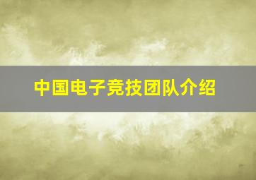 中国电子竞技团队介绍