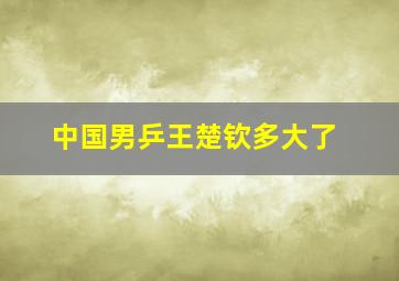 中国男乒王楚钦多大了