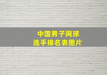 中国男子网球选手排名表图片