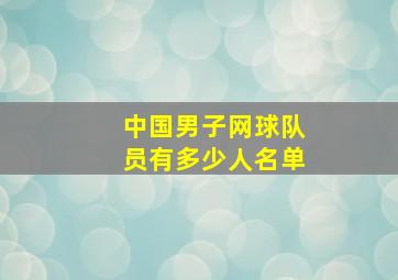 中国男子网球队员有多少人名单