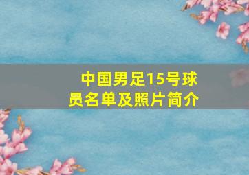 中国男足15号球员名单及照片简介