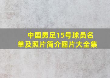 中国男足15号球员名单及照片简介图片大全集