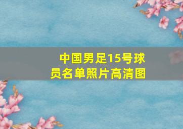 中国男足15号球员名单照片高清图