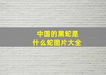 中国的黑蛇是什么蛇图片大全