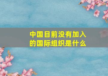 中国目前没有加入的国际组织是什么