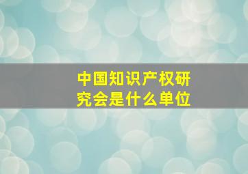 中国知识产权研究会是什么单位