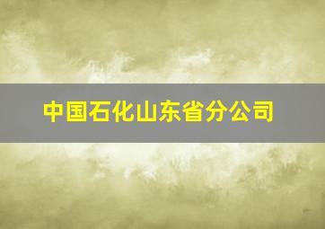 中国石化山东省分公司