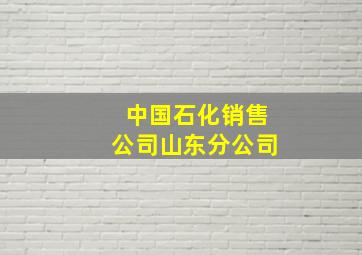 中国石化销售公司山东分公司