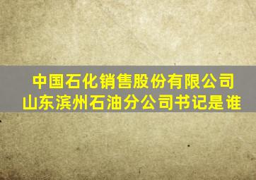 中国石化销售股份有限公司山东滨州石油分公司书记是谁