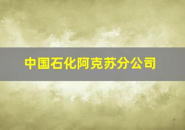 中国石化阿克苏分公司