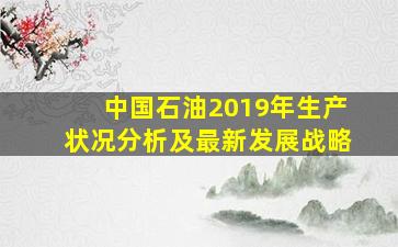 中国石油2019年生产状况分析及最新发展战略