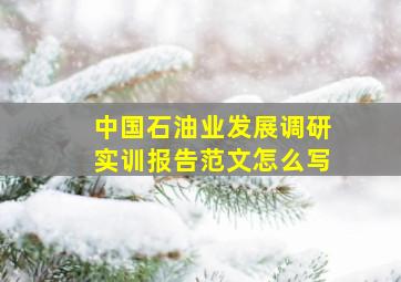 中国石油业发展调研实训报告范文怎么写