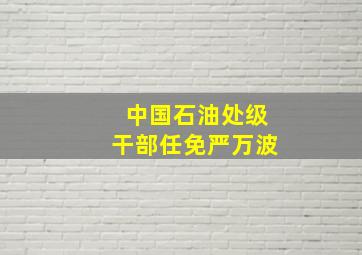 中国石油处级干部任免严万波