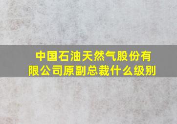 中国石油天然气股份有限公司原副总裁什么级别